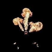 Robert Mikhailiuk, Гомель - фото 3