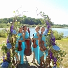 Брюнет Квартет