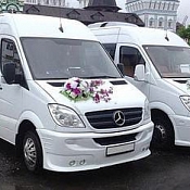 Аренда Mercedes Sprinter, Гомель - фото 2