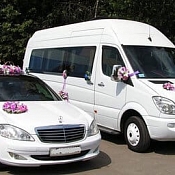 Аренда Mercedes Sprinter, Гомель - фото 3