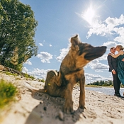 Фотограф Леонид Древило, Гомель - фото 3