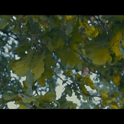 Видеограф Игорь Гунь, Гомель - фото 1