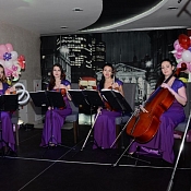 Брюнет Квартет, Гомель - фото 1