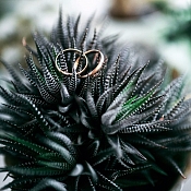 Фотограф Алексей Быстров, Гомель - фото 2