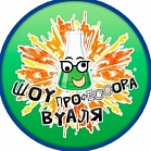 Шоу с жидким азотом от  "Профессора Вуаля"